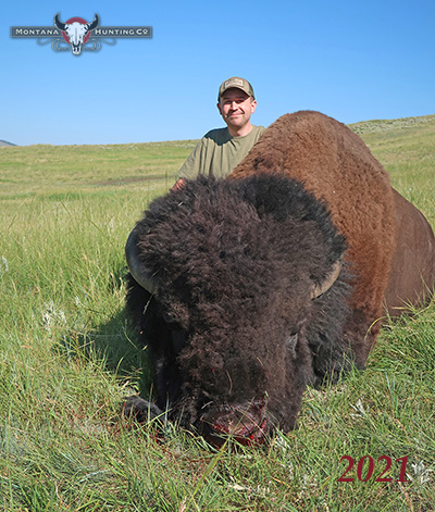 Hunter with a bison